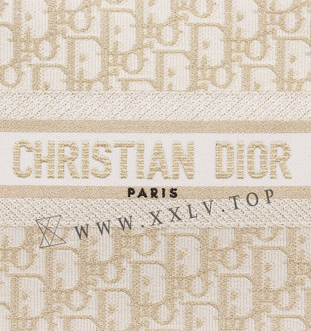 Small Dior Book Tote - Image 2