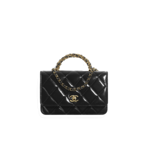 AP4166  Wallet on Chain