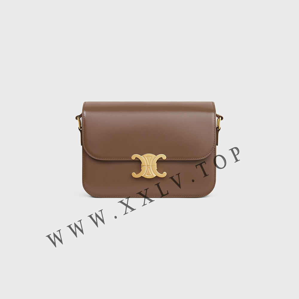 CLASSIQUE TRIOMPHE BAG in shiny calfskin - Image 5