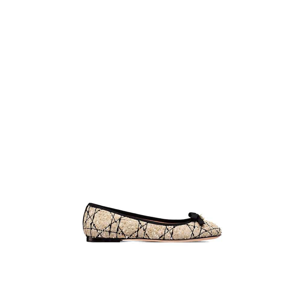 Dior Ballet Flat