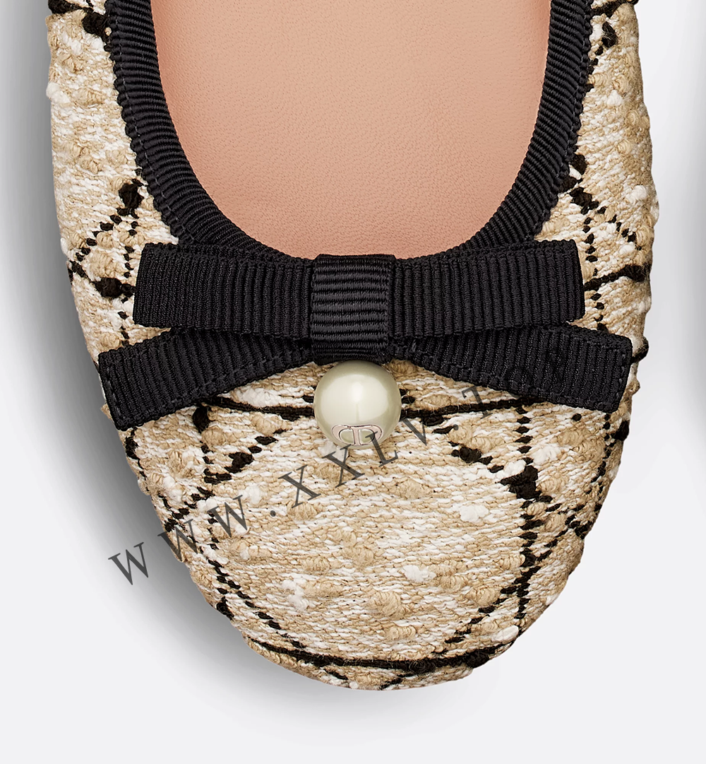 Dior Ballet Flat - Image 2