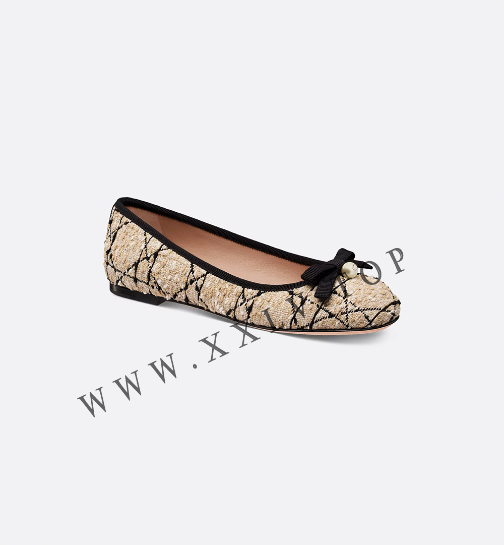 Dior Ballet Flat - Image 3
