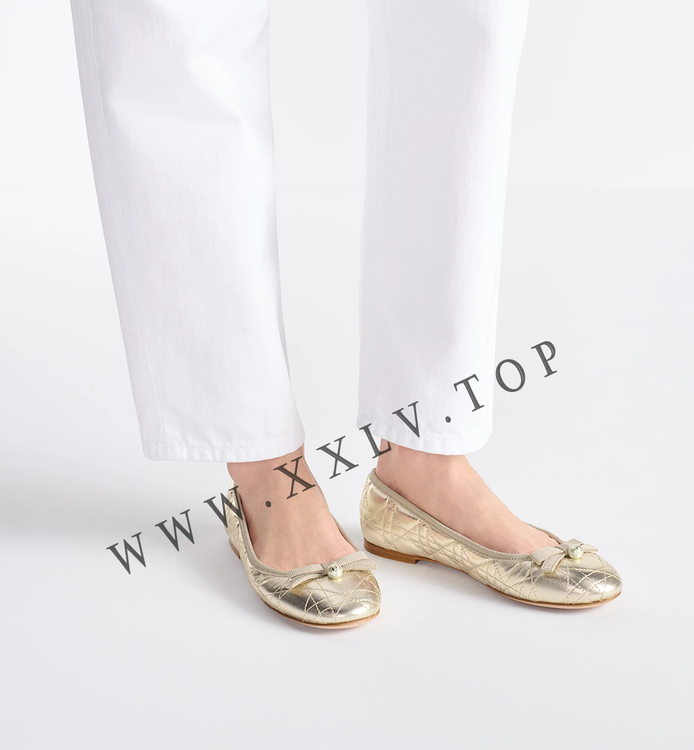 Dior Ballet Flat - Image 4